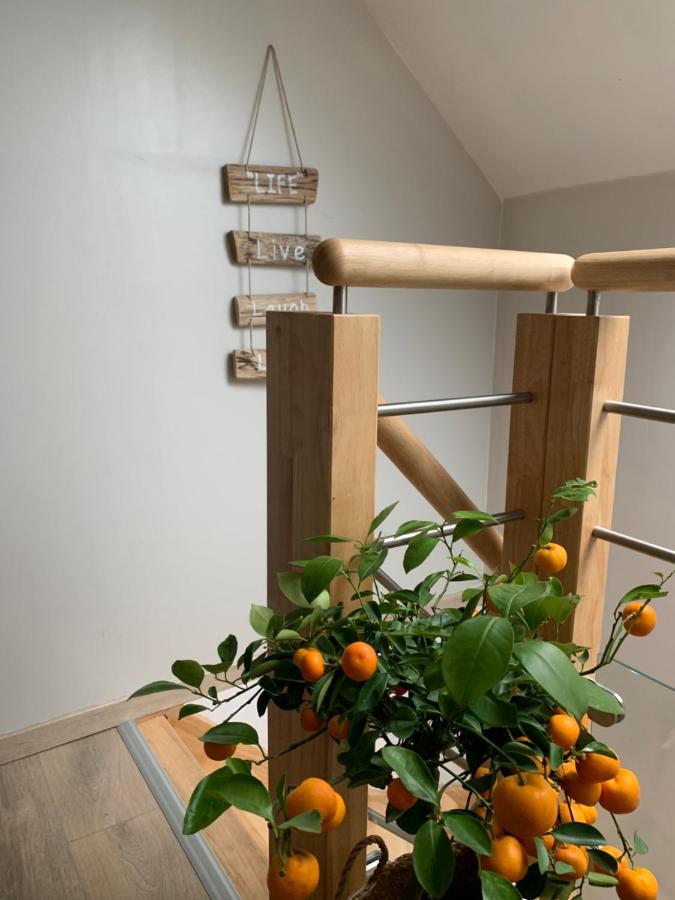 Le Cocon Des Hortillonnages D'Amiens Camon  エクステリア 写真