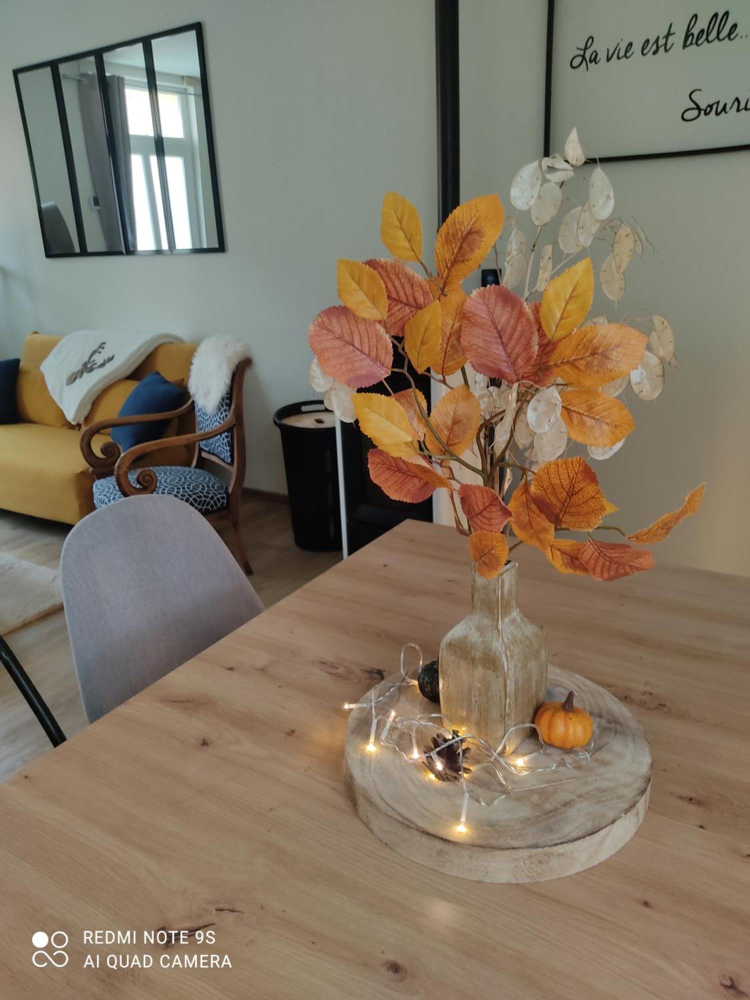 Le Cocon Des Hortillonnages D'Amiens Camon  エクステリア 写真