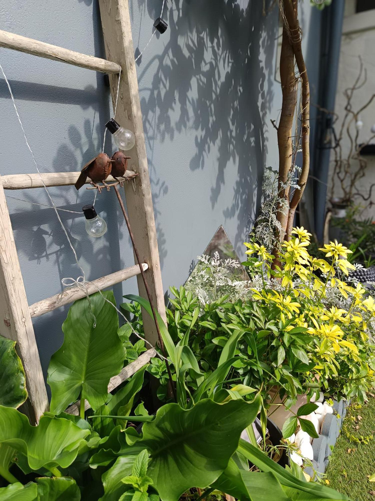 Le Cocon Des Hortillonnages D'Amiens Camon  エクステリア 写真